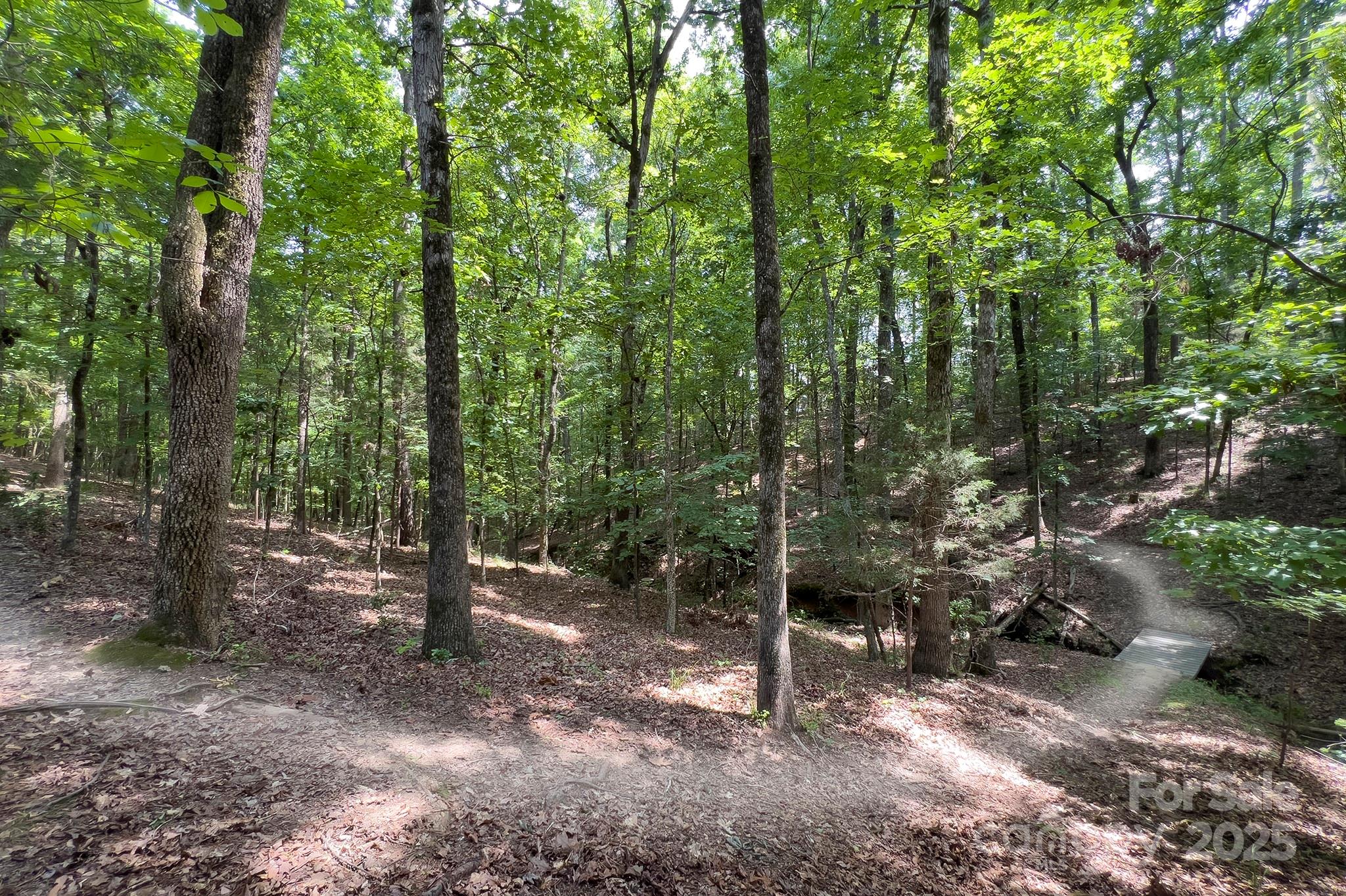 317 Annatto Way Tega Cay, SC 29708 - Photo 44 of 44 a view of outdoor space and trees
