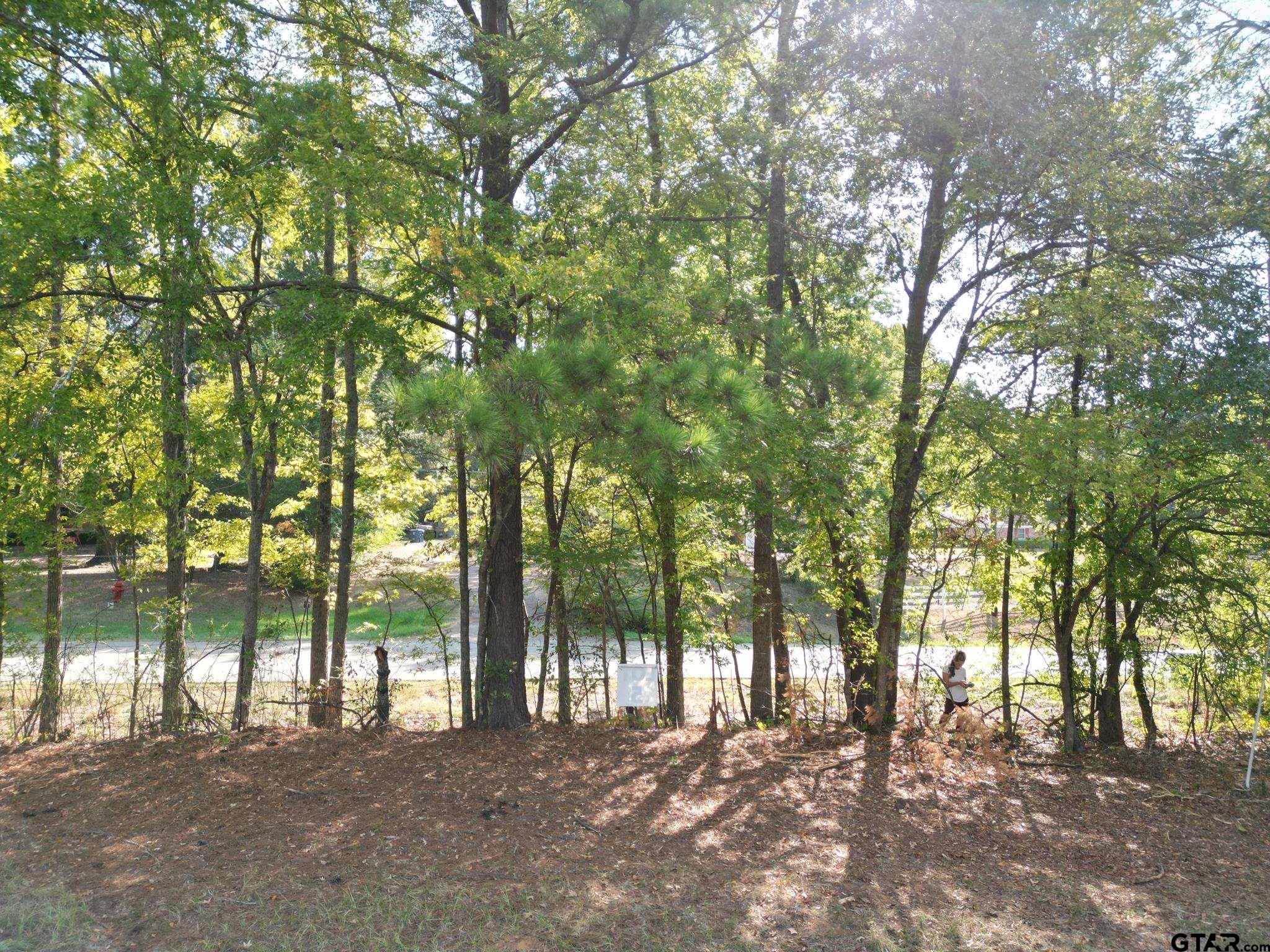 Lot 5 Willingham Road Whitehouse, TX 75791 - Photo 12 of 13 Gallery Image 12