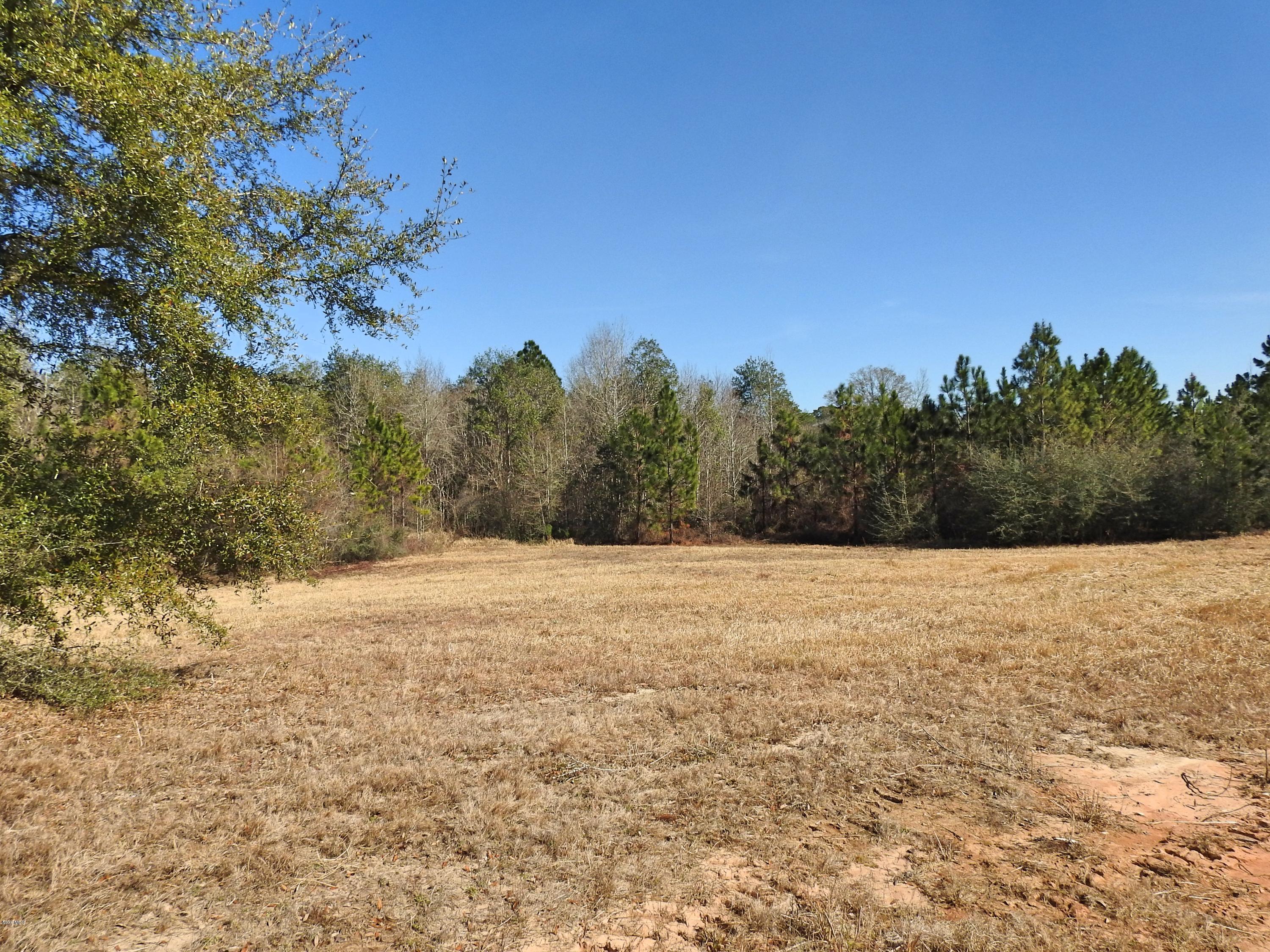 17-ac Brannon Road Lucedale, MS 39452 - Photo 1 of 10 DSCN8605_Fotor