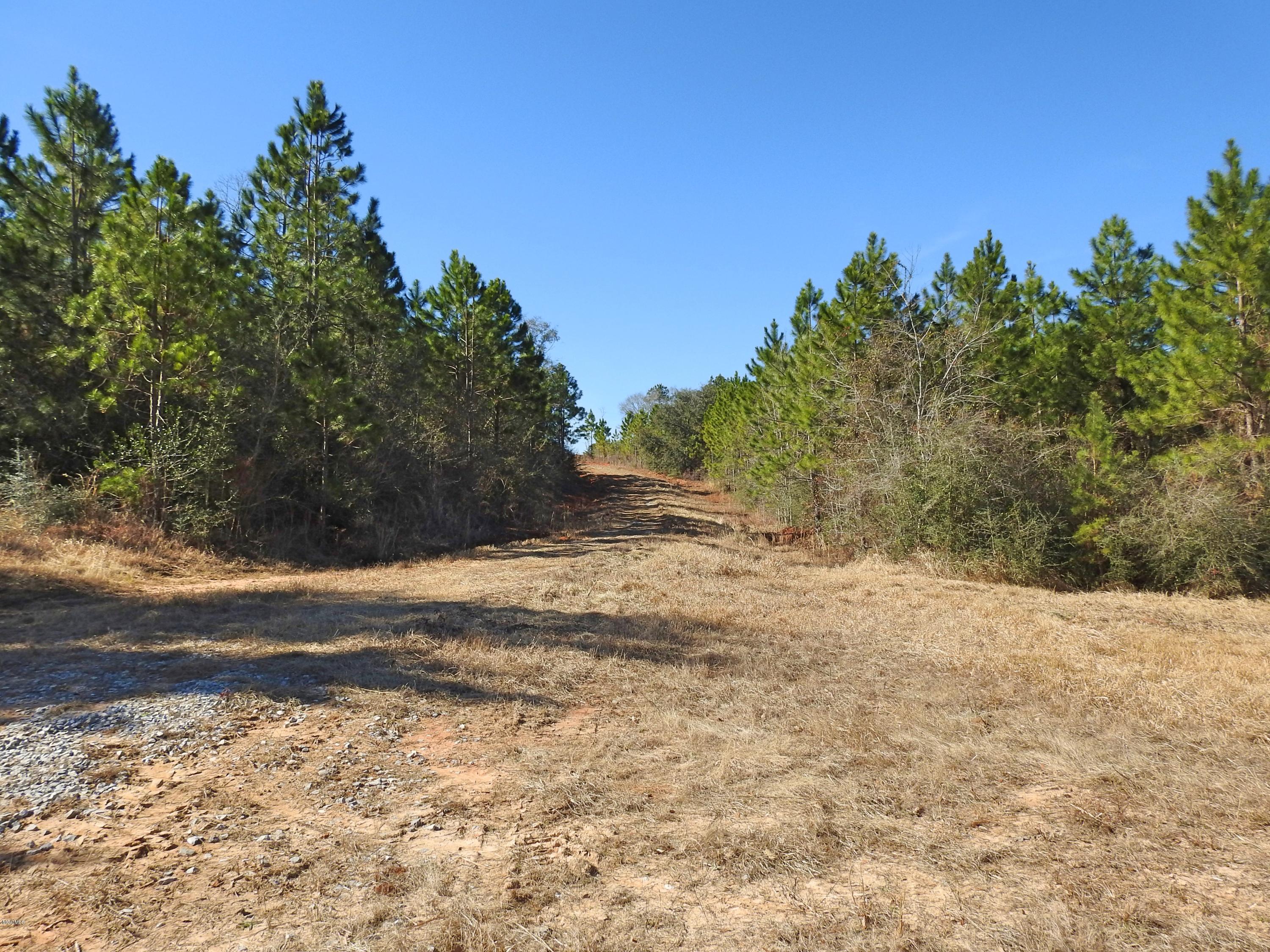 17-ac Brannon Road Lucedale, MS 39452 - Photo 3 of 10 DSCN8603_Fotor