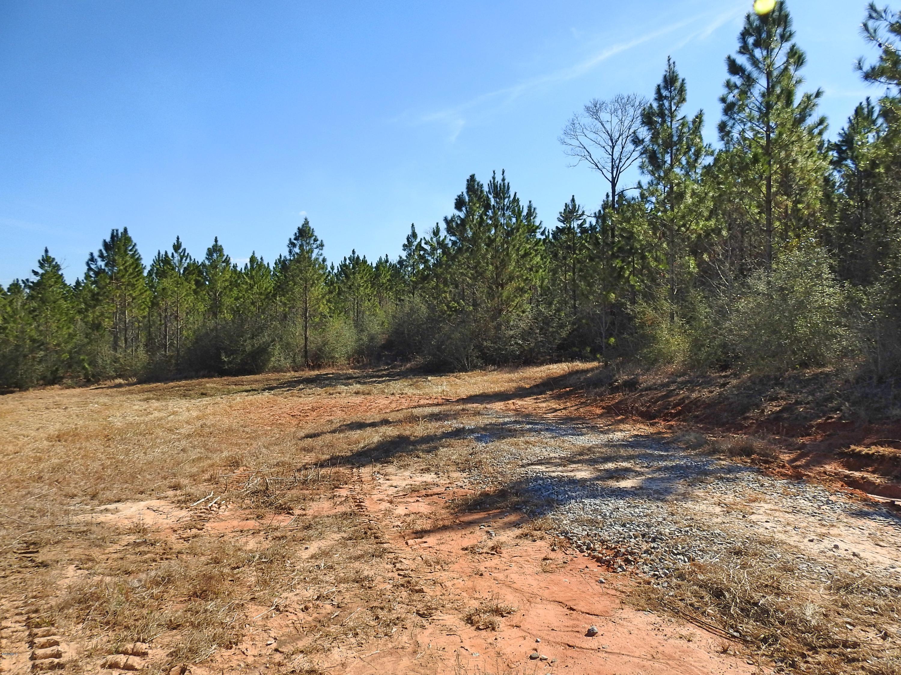 17-ac Brannon Road Lucedale, MS 39452 - Photo 4 of 10 DSCN8604_Fotor