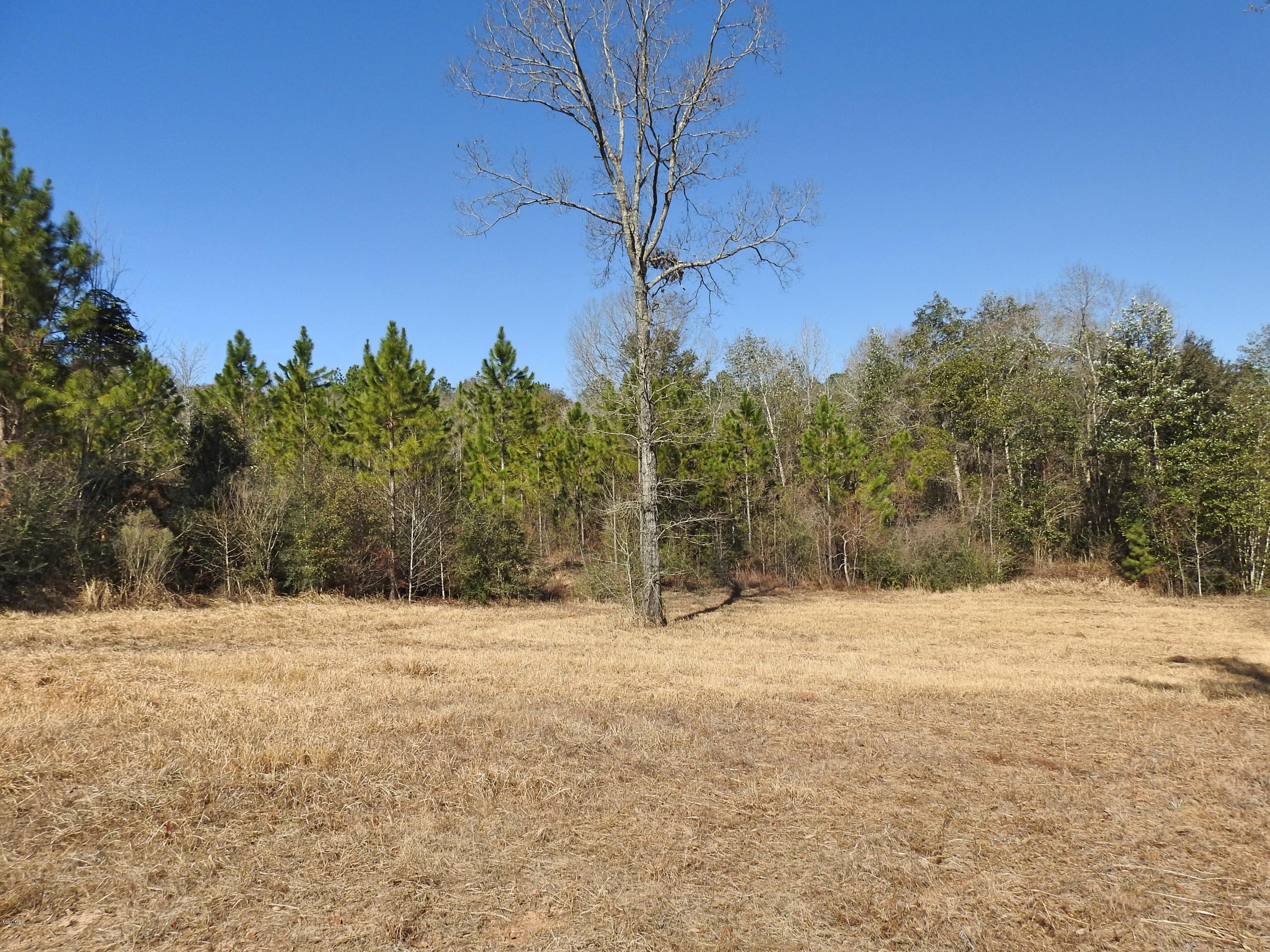 17-ac Brannon Road Lucedale, MS 39452 - Photo 5 of 10 DSCN8606_Fotor