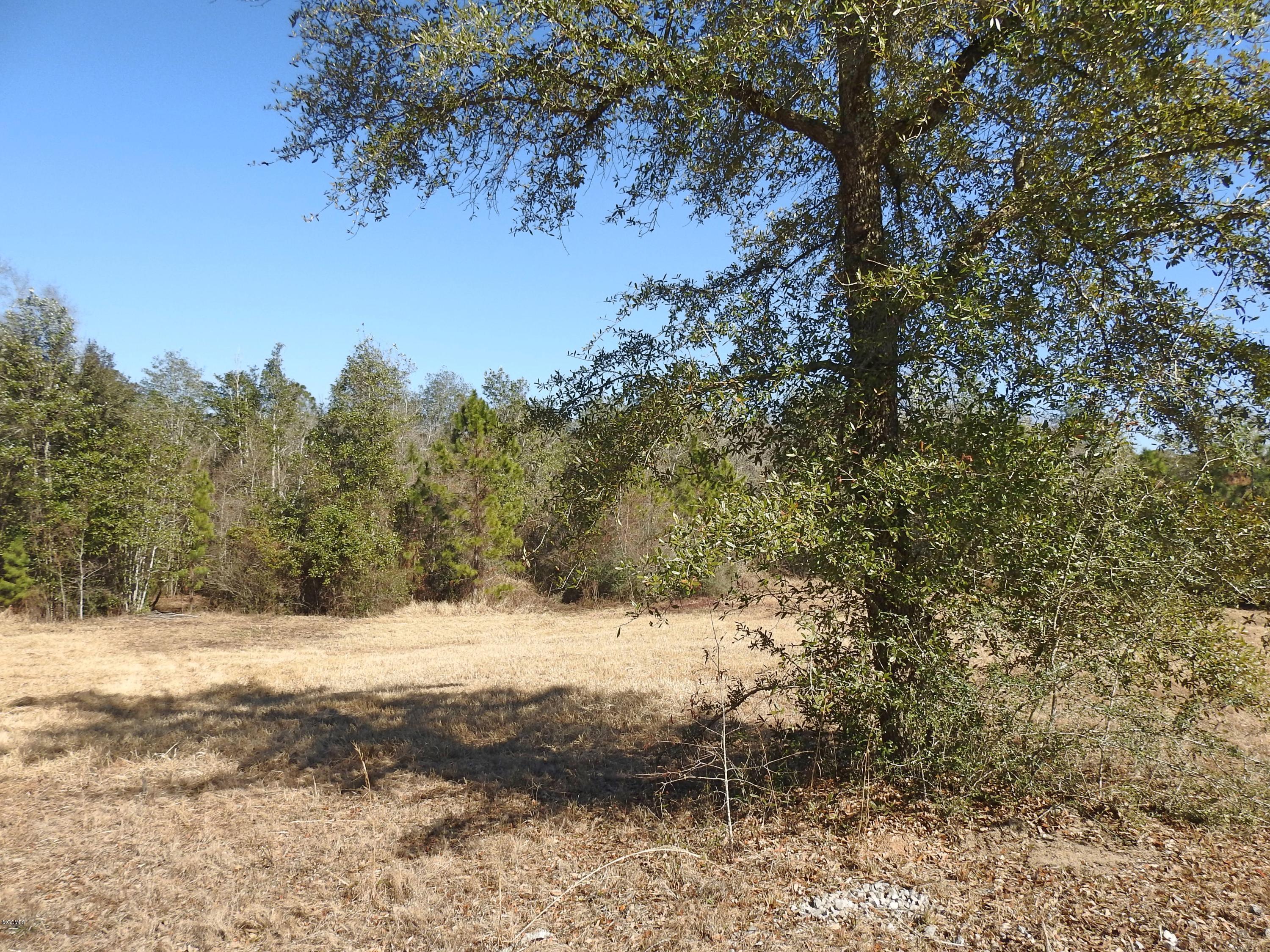 17-ac Brannon Road Lucedale, MS 39452 - Photo 6 of 10 DSCN8607_Fotor