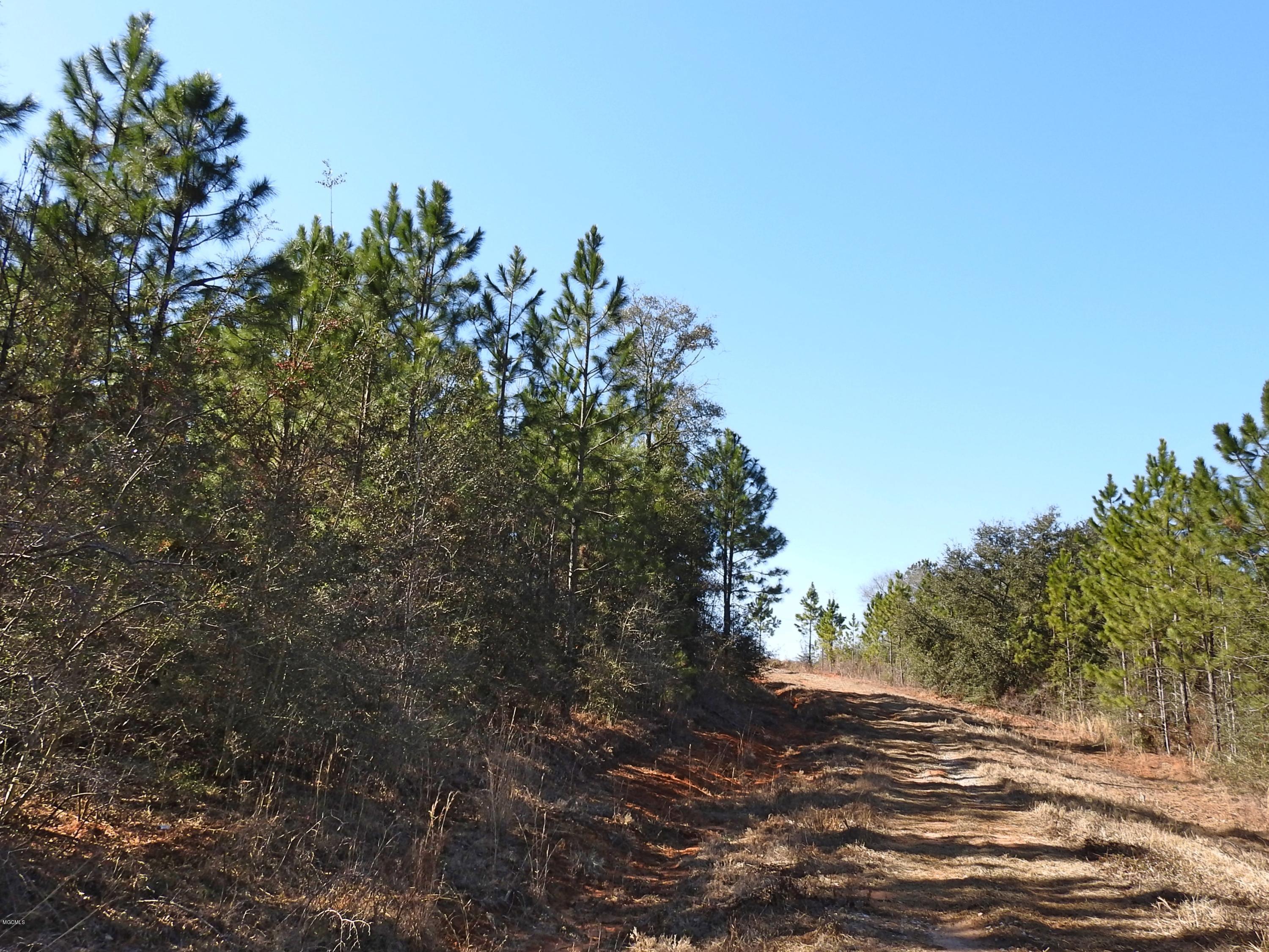 17-ac Brannon Road Lucedale, MS 39452 - Photo 7 of 10 DSCN8608_Fotor