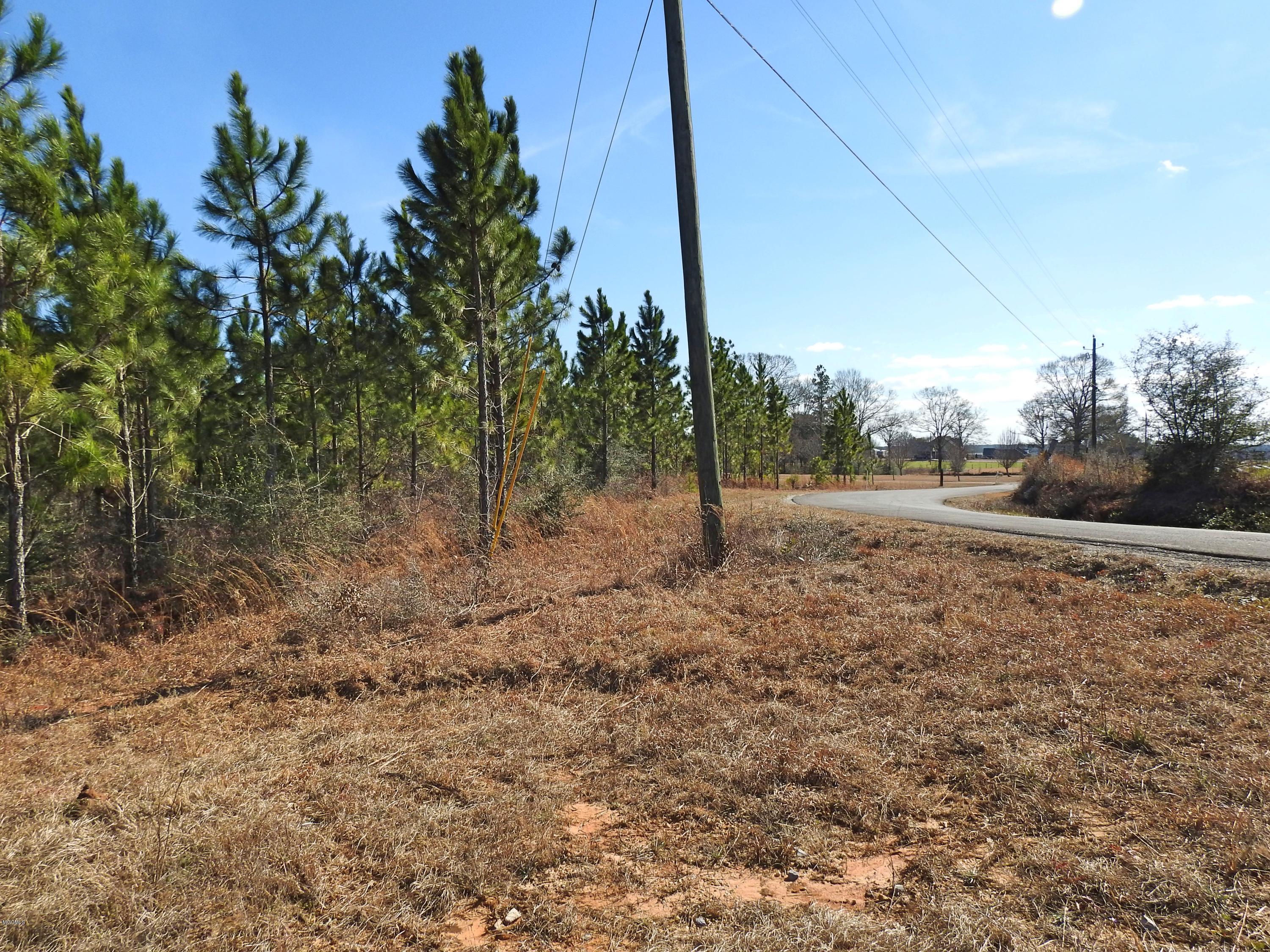 17-ac Brannon Road Lucedale, MS 39452 - Photo 8 of 10 DSCN8609_Fotor