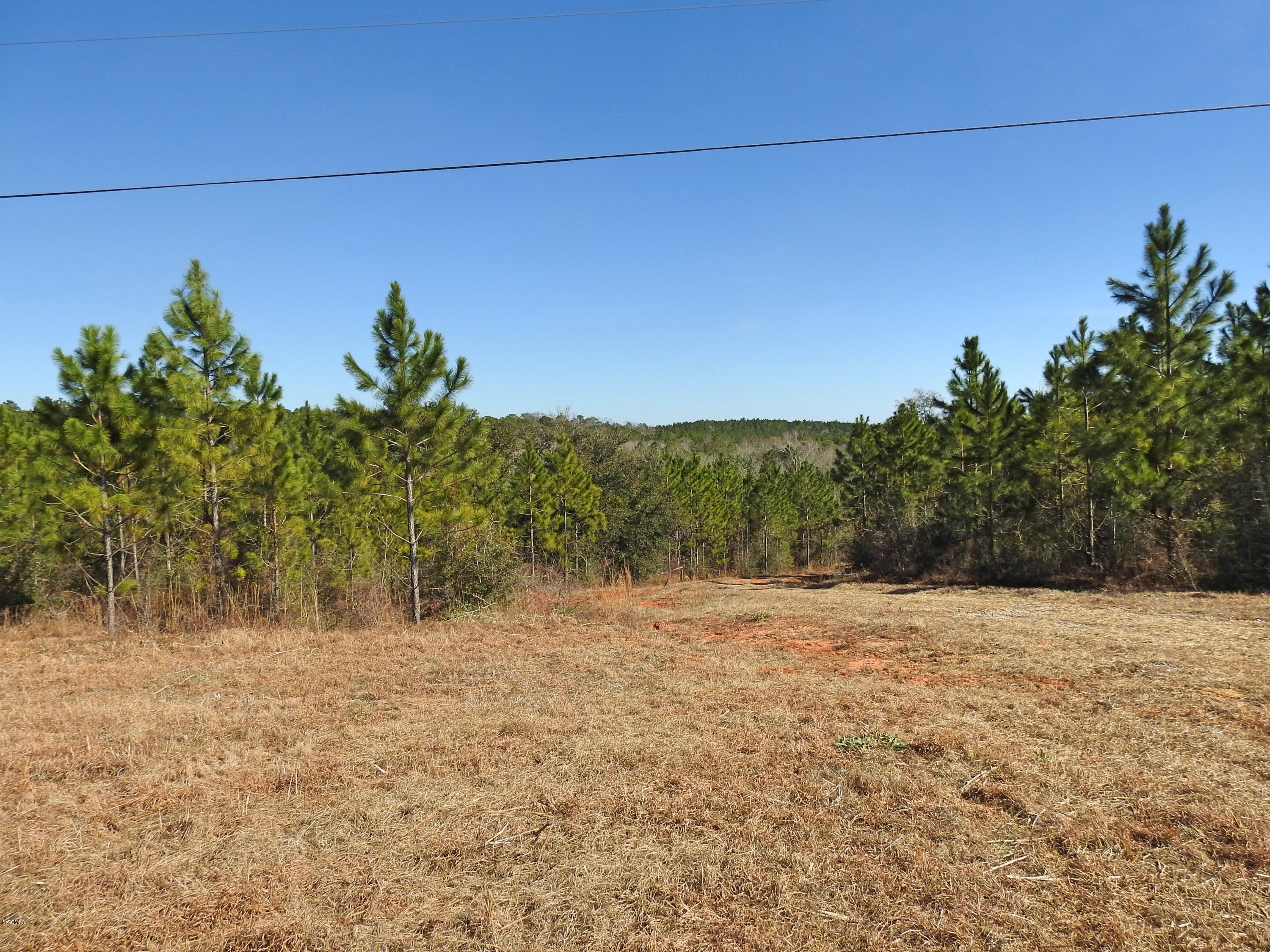 17-ac Brannon Road Lucedale, MS 39452 - Photo 9 of 10 DSCN8611_Fotor