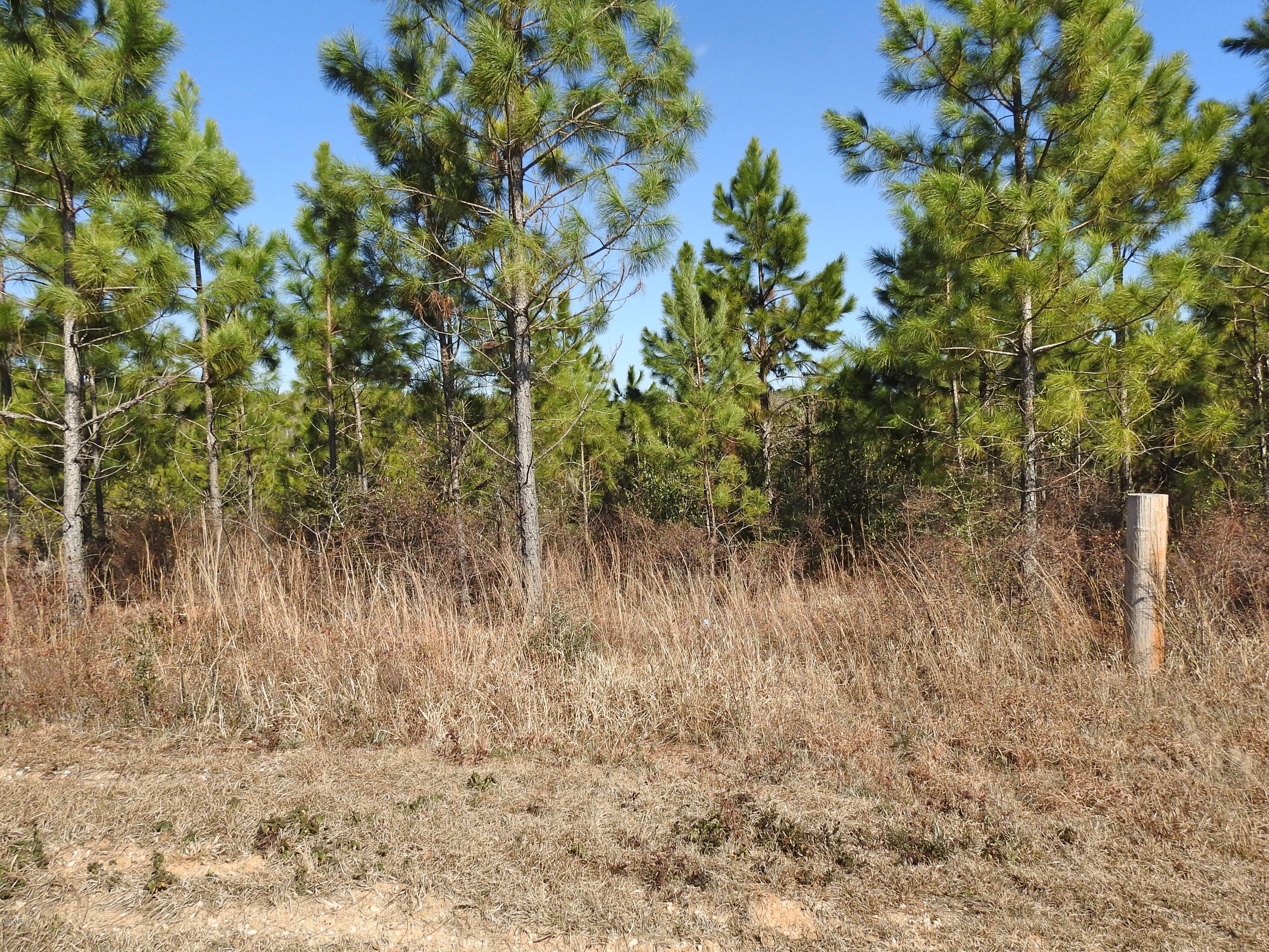 17-ac Brannon Road Lucedale, MS 39452 - Photo 10 of 10 DSCN8613_Fotor