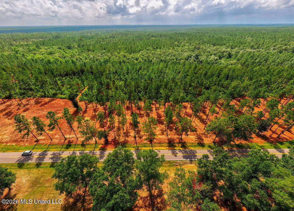 Nhn Lot 2 Nhn Road Saucier, MS 39574 - Photo 69 of 87 HiddenCreekEstatesNoLines-26