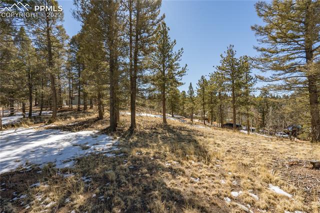 244 Tidi Road Florissant, CO 80816 - Photo 15 of 50