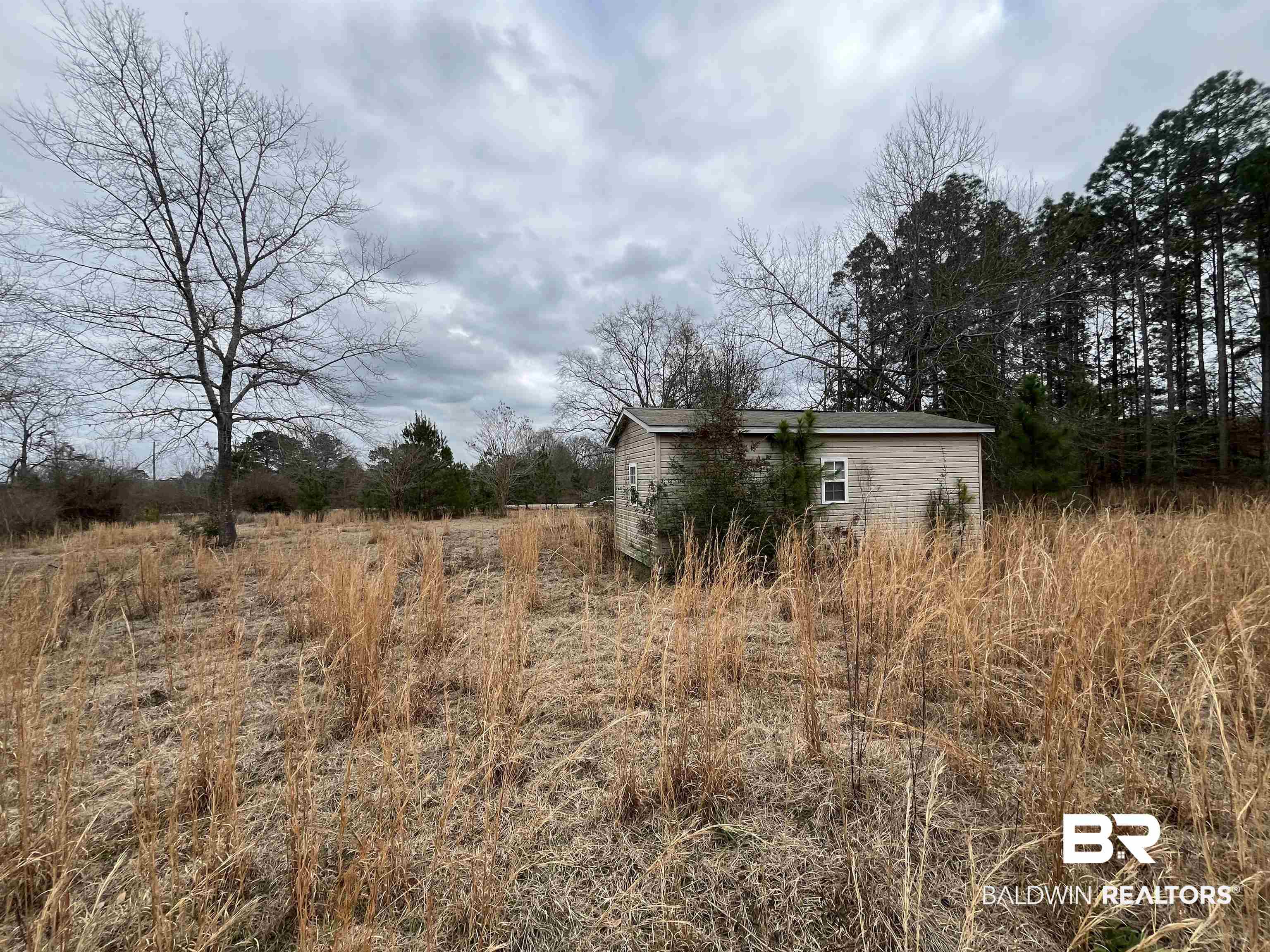 4967 Kirkland Road Brewton, AL 36426 - Photo 3 of 6 Exterior space