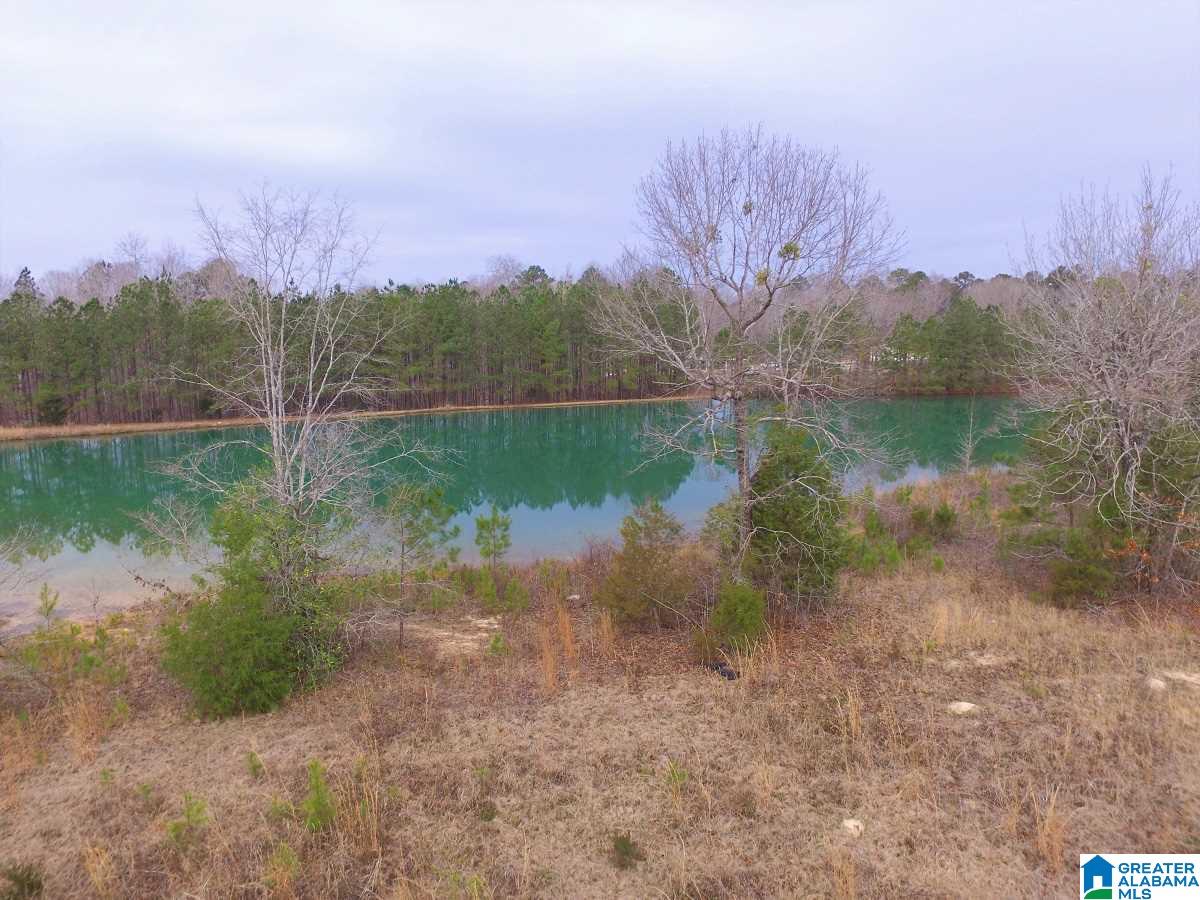 0 Melissa Robyn Road, Unit 1 Deatsville, AL 36022 - Photo 28 of 29