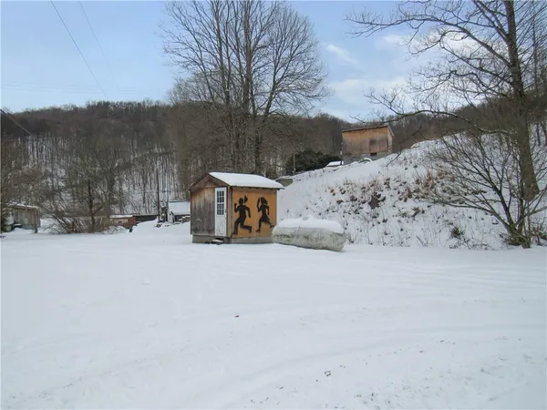 a view of street with large trees