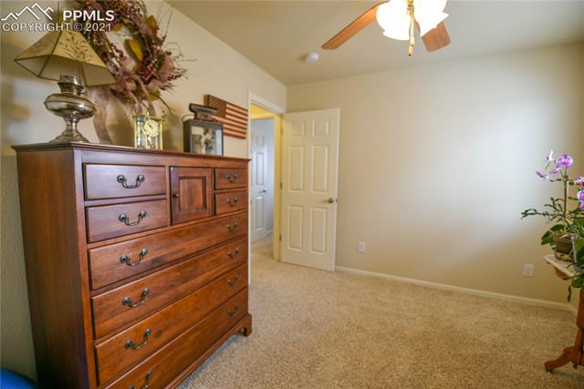 7058 Red Cardinal Loop Colorado Springs, CO 80908 - Photo 45 of 47 Gallery Image 45