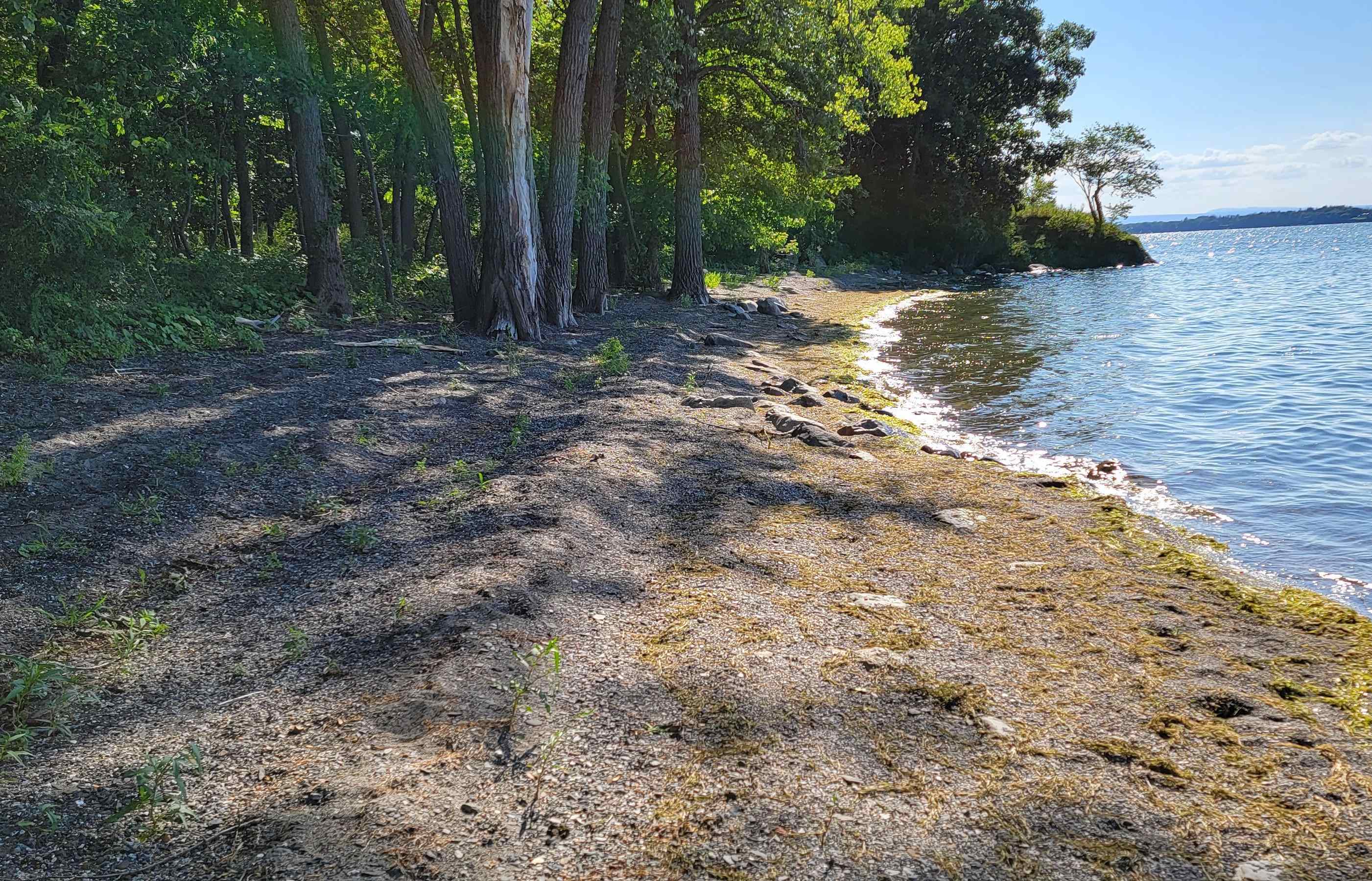 4300 Butler Island West North Hero, VT 05474 - Photo 3 of 12