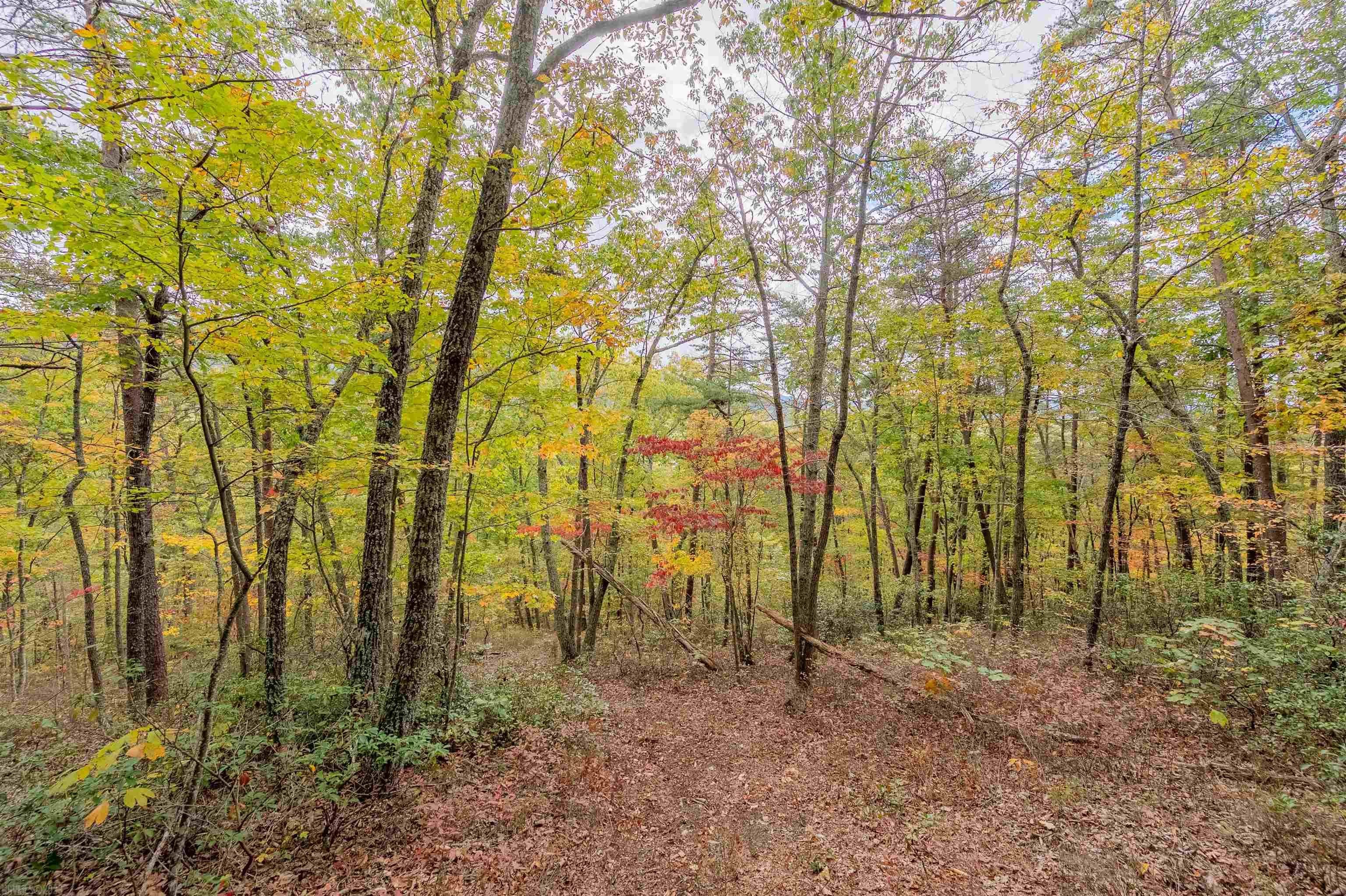 Tbd Bradshaw Road Elliston, VA 24087 - Photo 16 of 21 Gallery Image 16