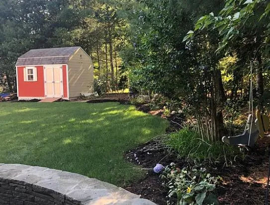 a view of a back yard