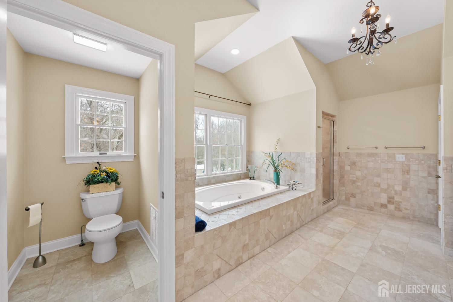32 4 Bridges Road Chester, NJ 07930 - Photo 44 of 78 a spacious bathroom with a bathtub shower and toilet