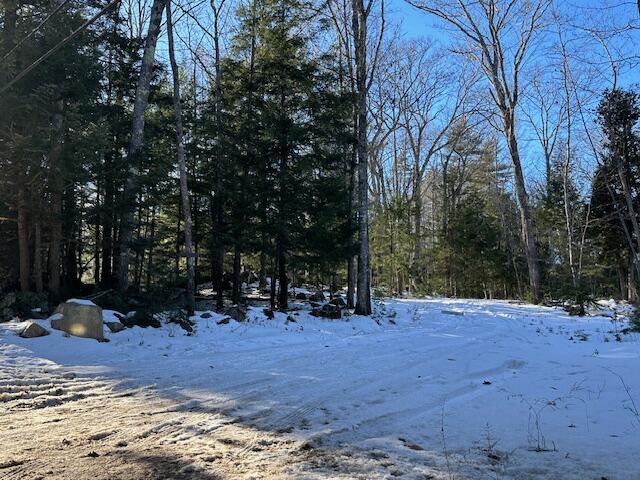 Map38-lot55 Hope Road Lincolnville, ME 04849 - Photo 4 of 5 IMG_2902