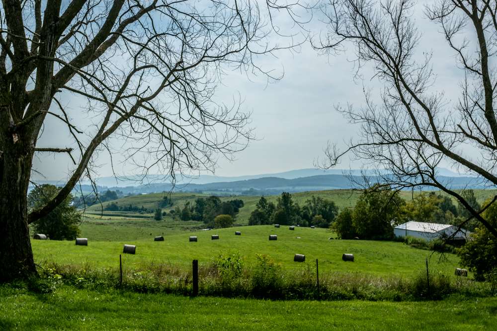4512 Brenneman Church Road Linville, VA 22834 - Photo 30 of 31 Gallery Image 30