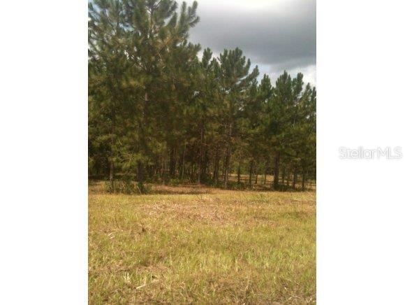 0 Southeast 175th Terrace Road Weirsdale, FL 32195 - Photo 1 of 1 Primary Photo