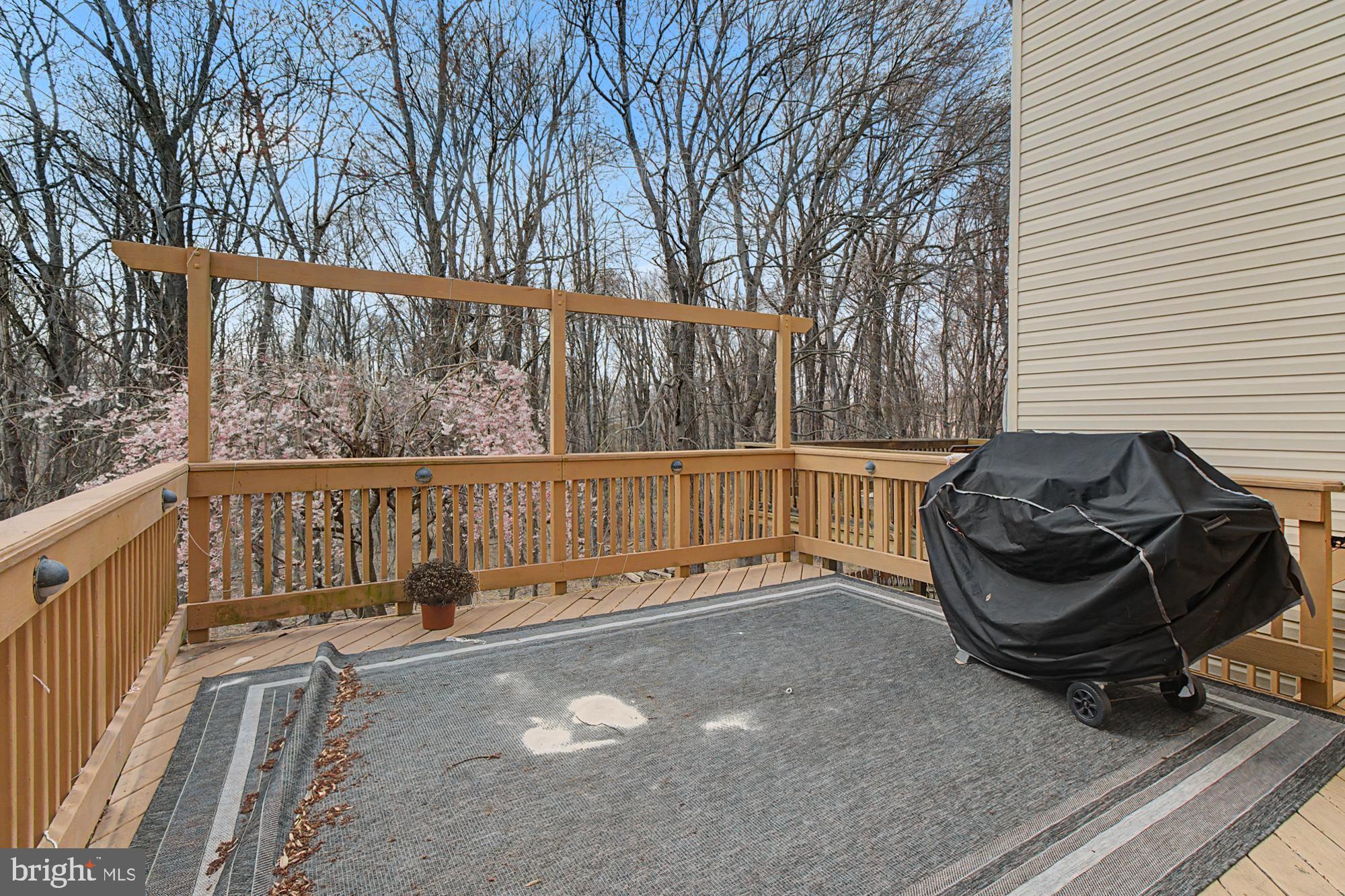 215 Carolstowne Road Reisterstown, MD 21136 - Photo 42 of 49