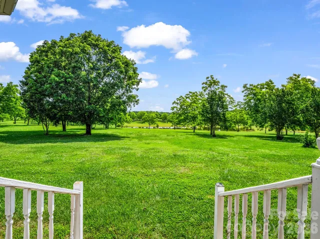 a view of a garden with a tree in the background