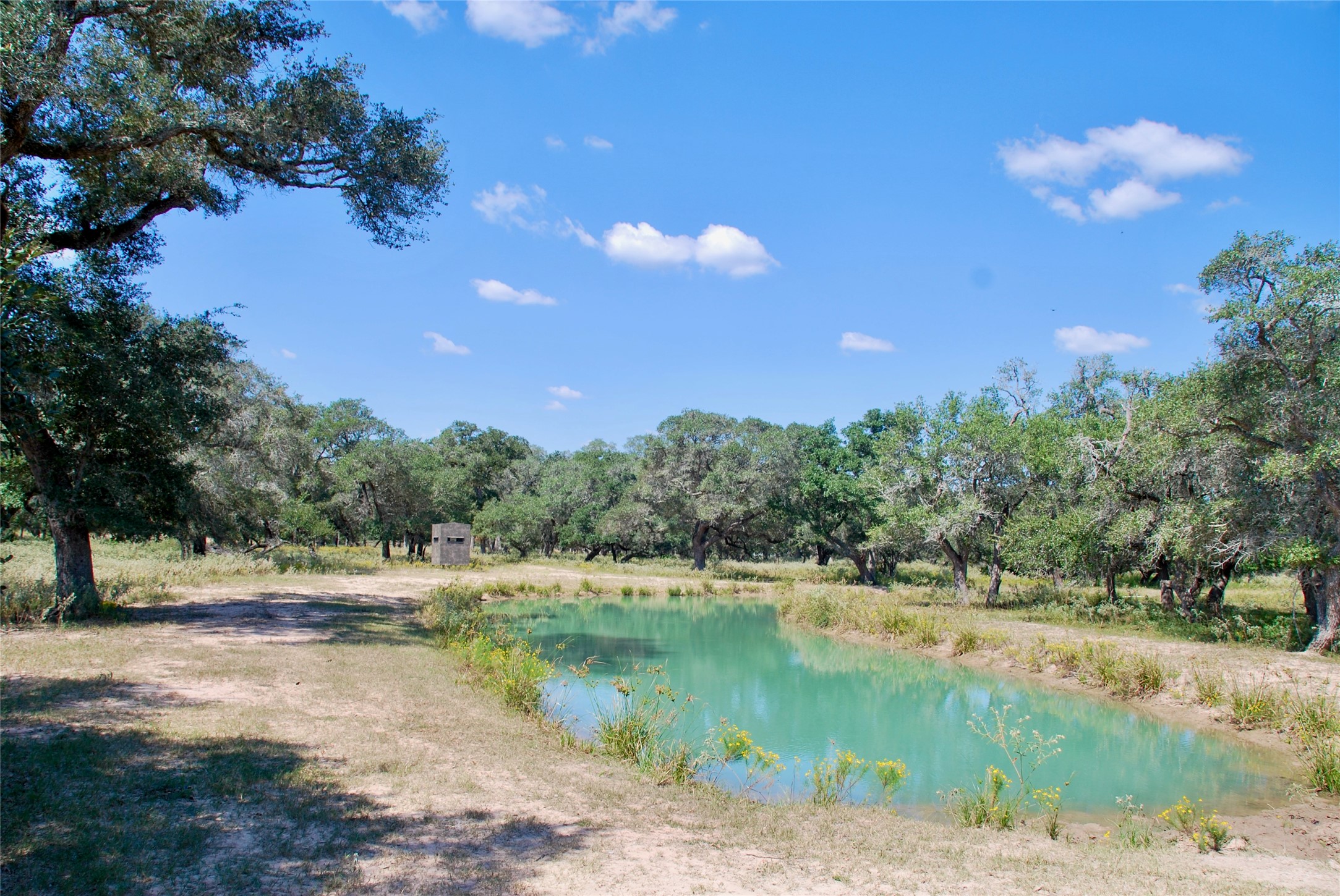 3033 County Road 18 Hallettsville, TX 77964 - Photo 33 of 50