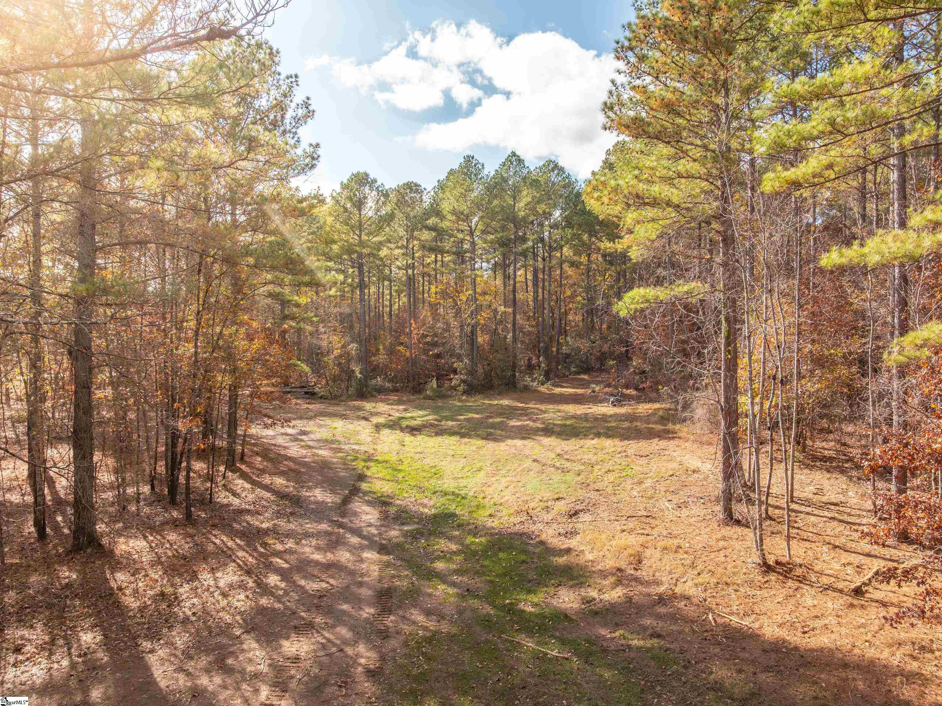 5 Mill Pine Road Liberty, SC 29657 - Photo 19 of 43 Gallery Image 19