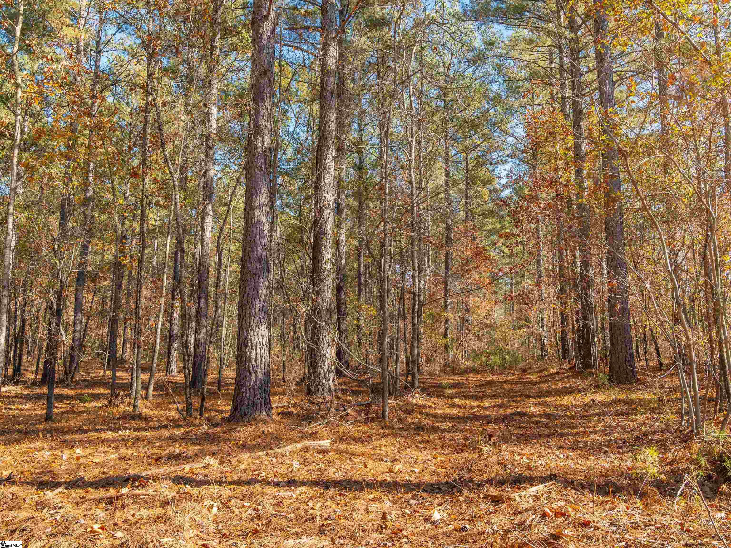 5 Mill Pine Road Liberty, SC 29657 - Photo 27 of 43 Gallery Image 27