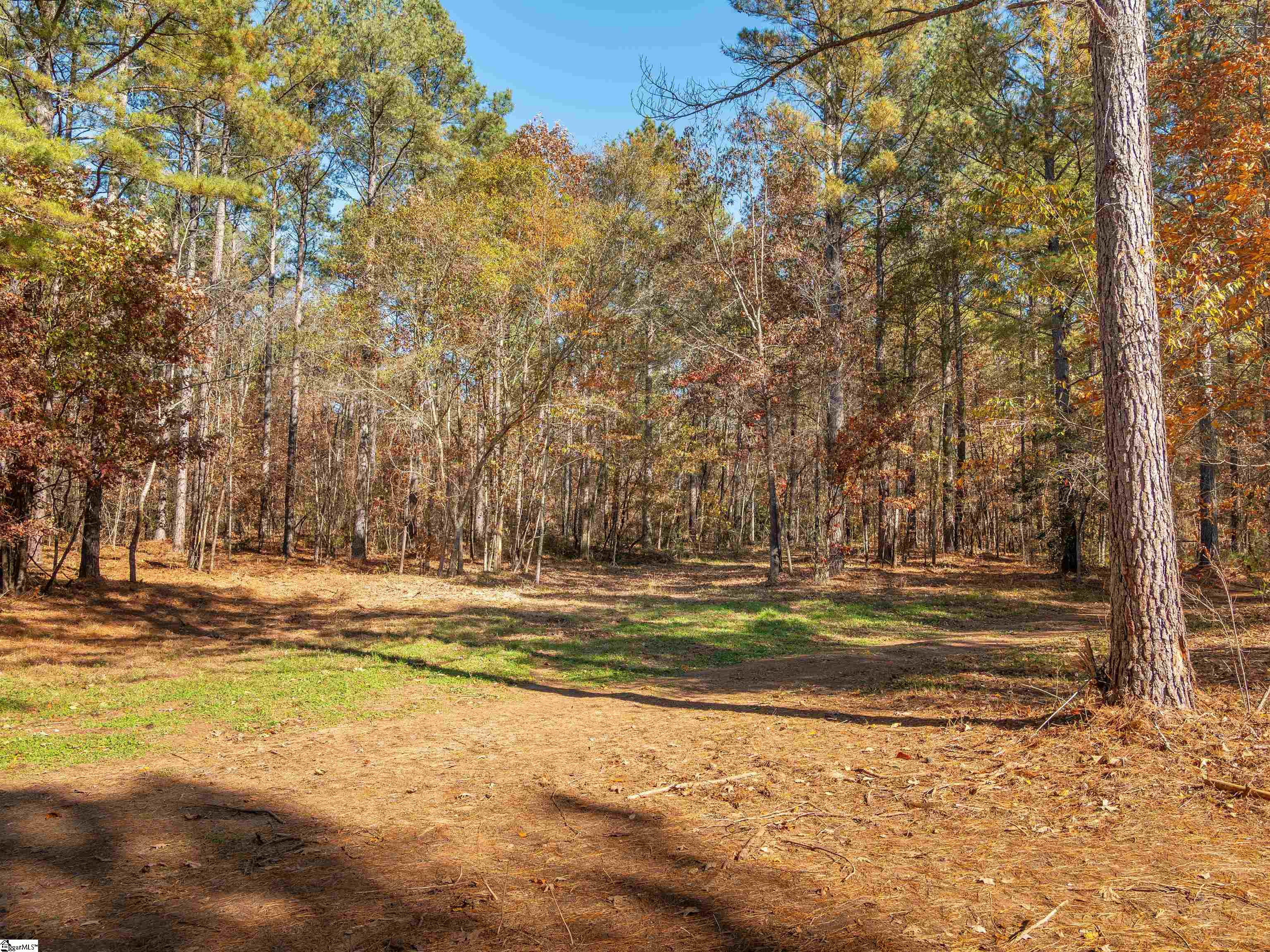 5 Mill Pine Road Liberty, SC 29657 - Photo 28 of 43 Gallery Image 28