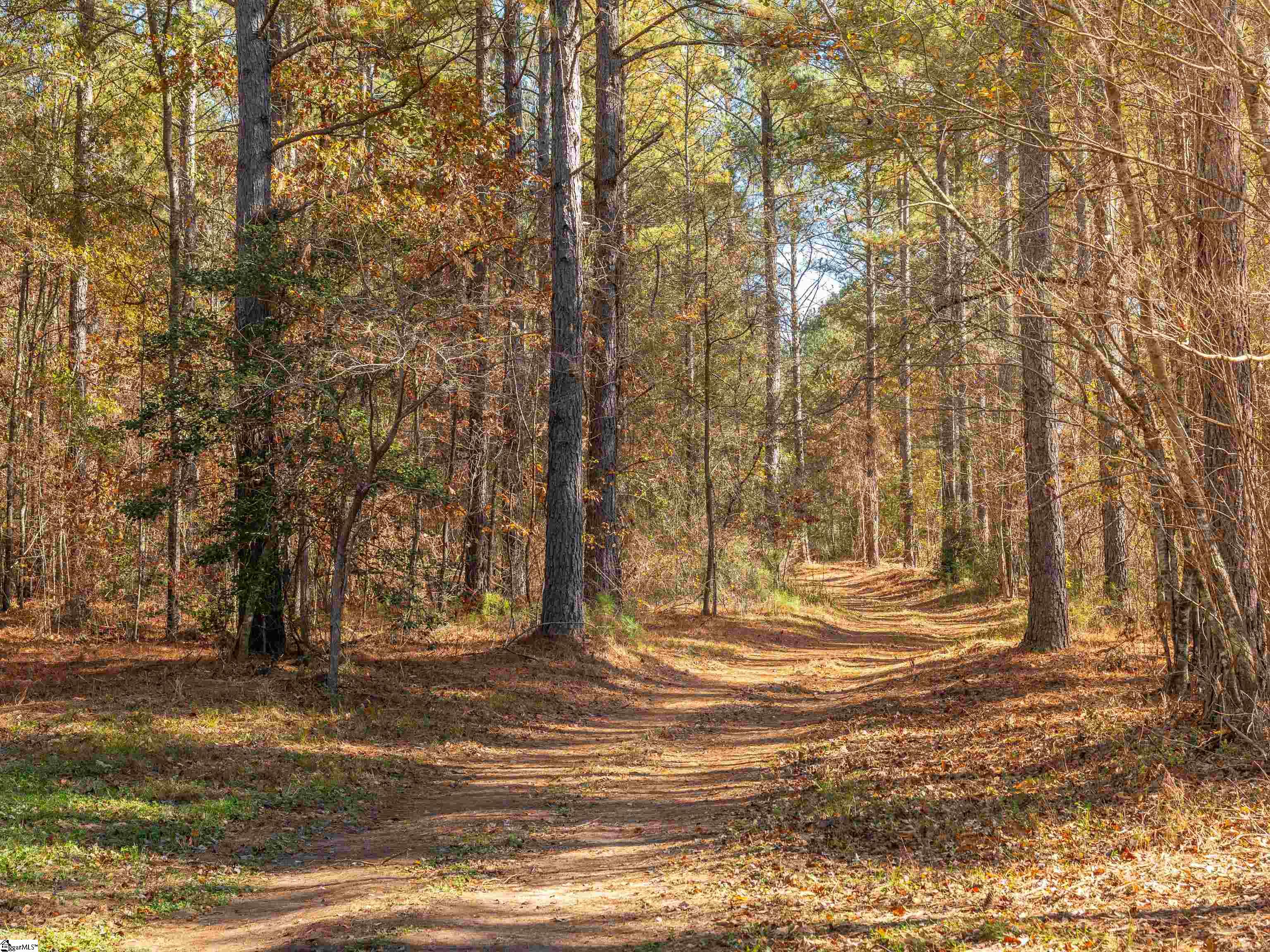 5 Mill Pine Road Liberty, SC 29657 - Photo 29 of 43 Gallery Image 29