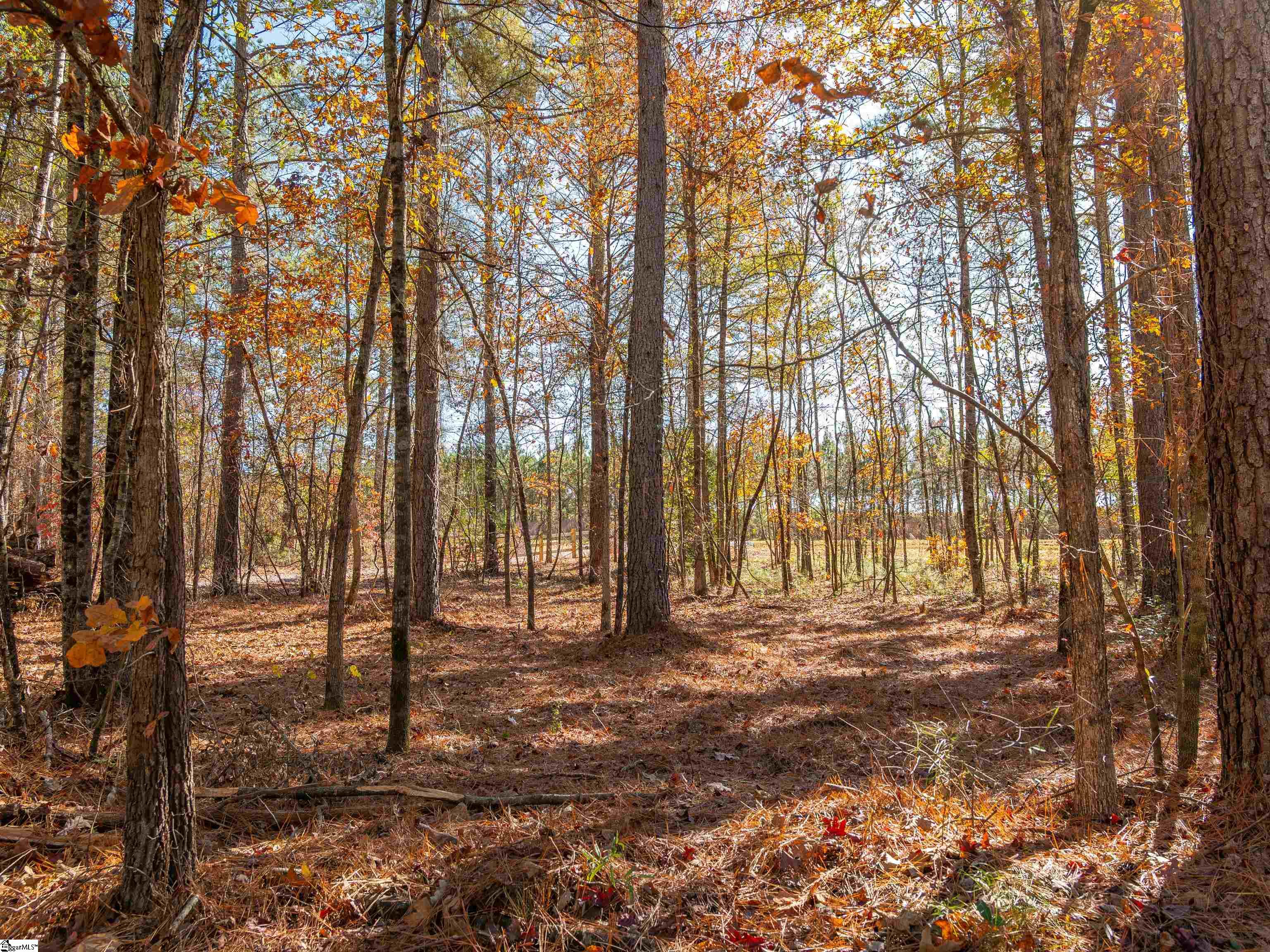 5 Mill Pine Road Liberty, SC 29657 - Photo 32 of 43 Gallery Image 32