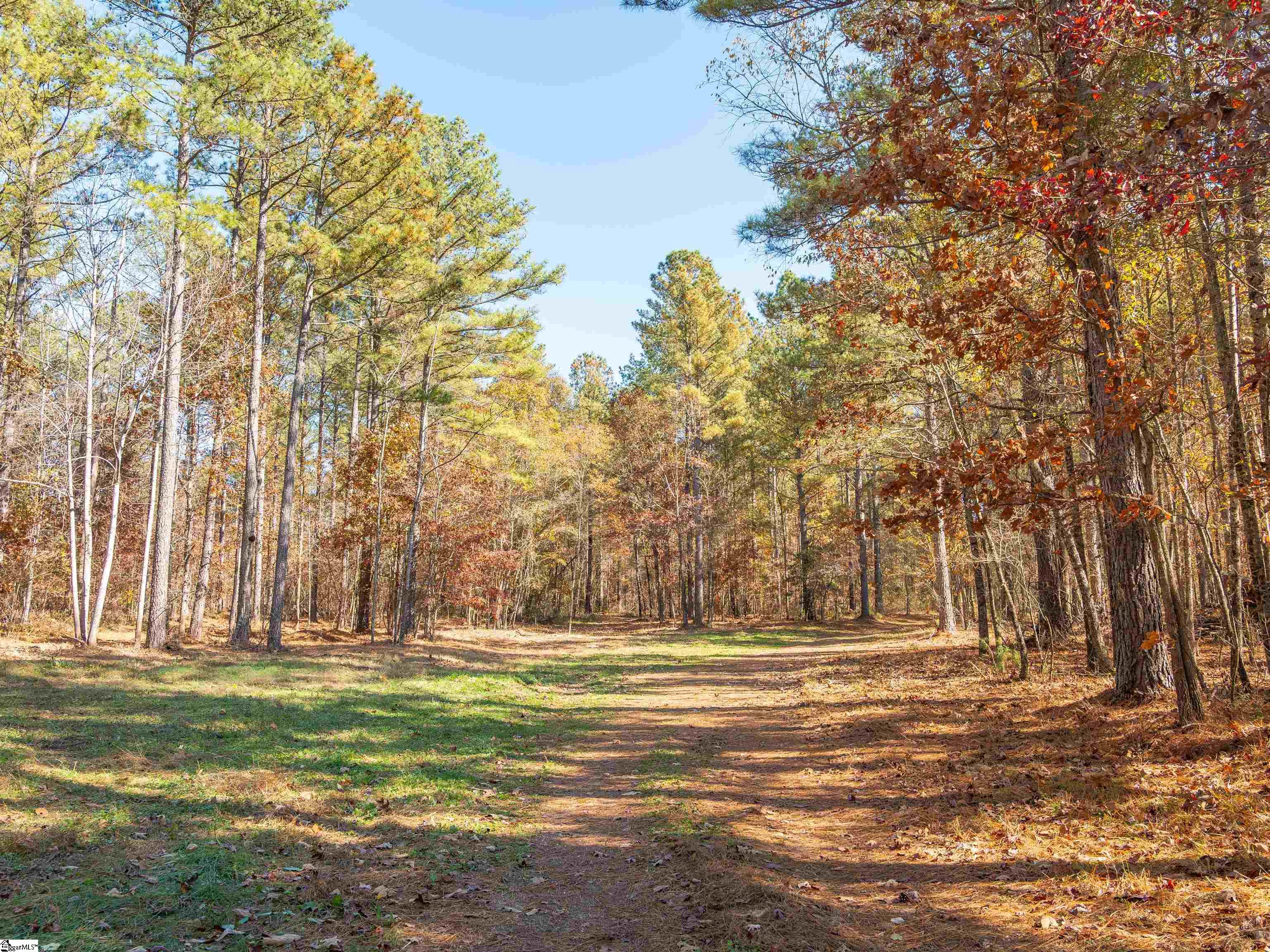 5 Mill Pine Road Liberty, SC 29657 - Photo 33 of 43 Gallery Image 33