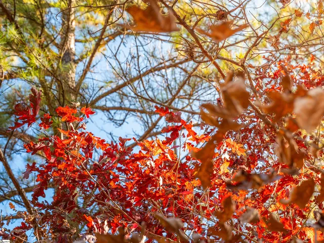 $199,999 | 5 Mill Pine Road, Liberty, SC 29657