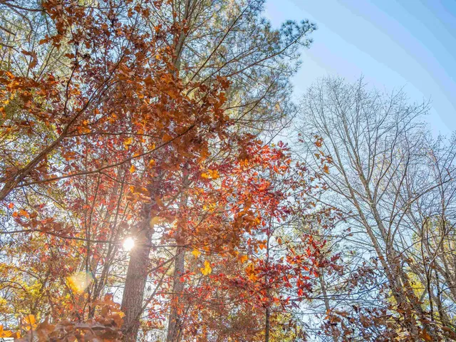 $199,999 | 5 Mill Pine Road, Liberty, SC 29657