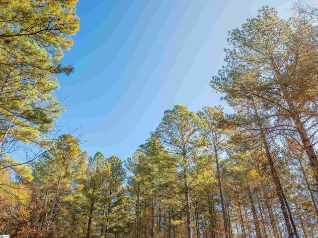 $199,999 | 5 Mill Pine Road, Liberty, SC 29657