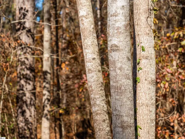 $199,999 | 5 Mill Pine Road, Liberty, SC 29657