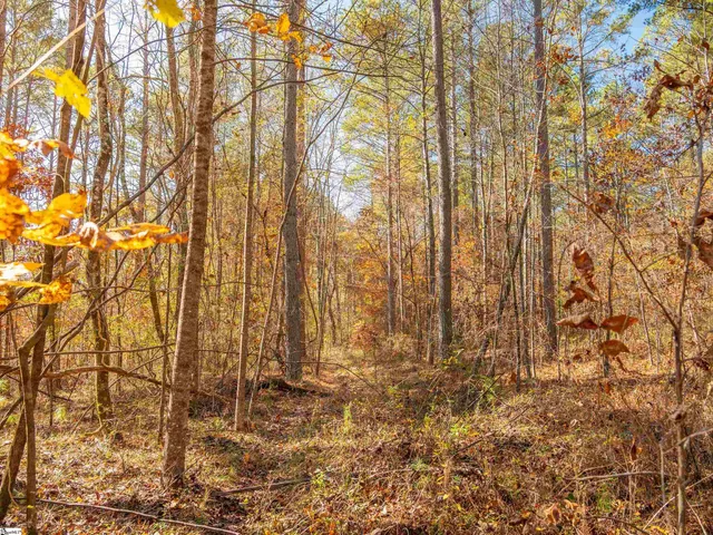 $199,999 | 5 Mill Pine Road, Liberty, SC 29657