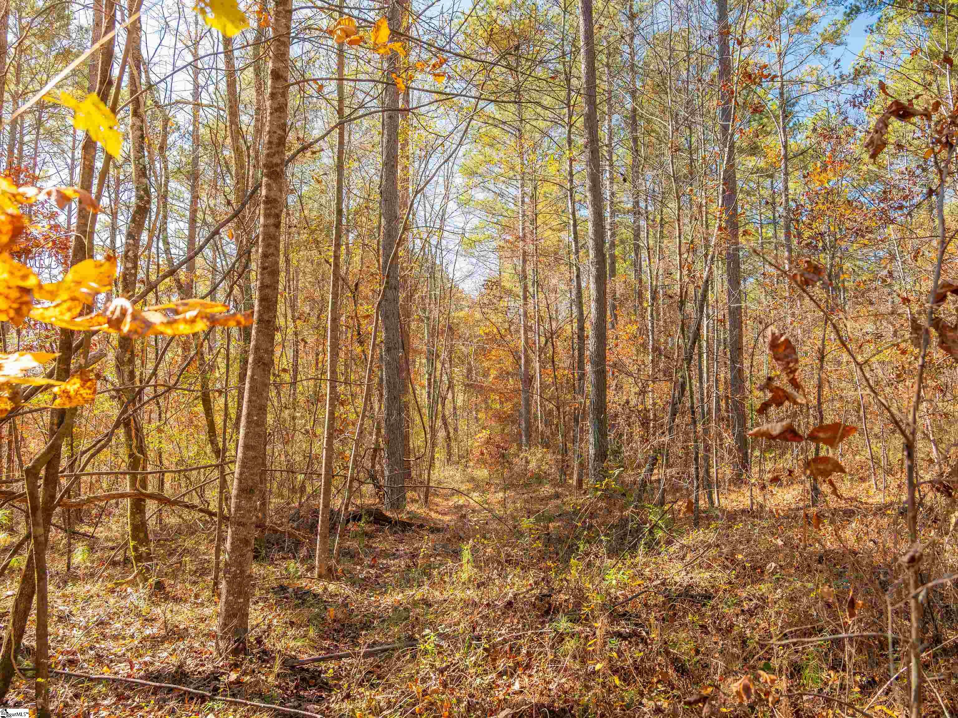 5 Mill Pine Road Liberty, SC 29657 - Photo 39 of 43 Gallery Image 39