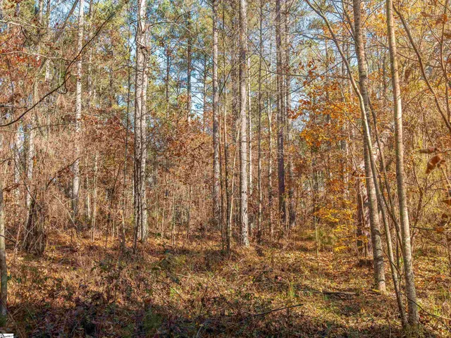 $199,999 | 5 Mill Pine Road, Liberty, SC 29657