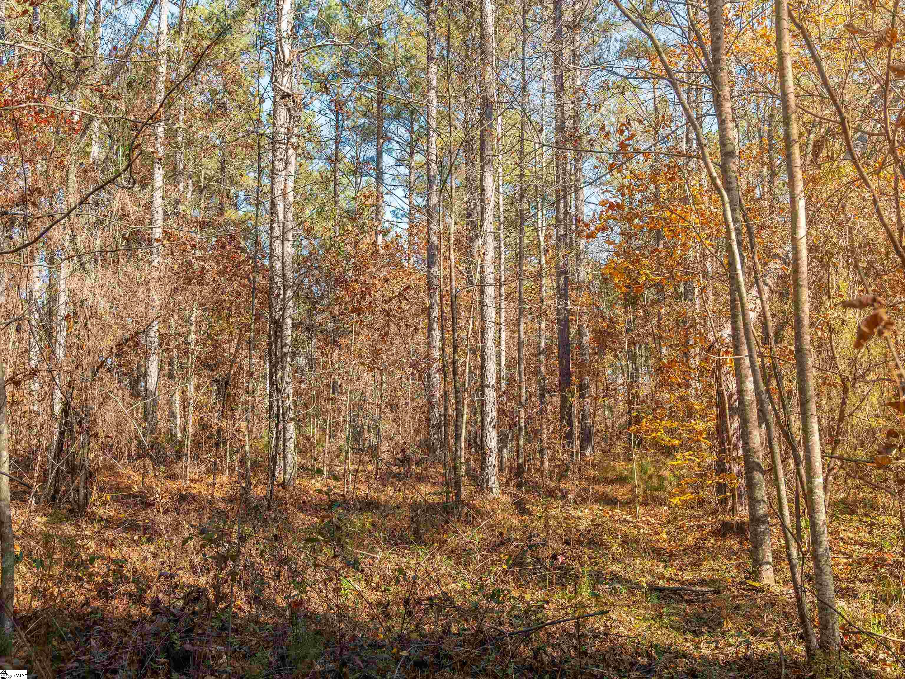 5 Mill Pine Road Liberty, SC 29657 - Photo 40 of 43 Gallery Image 40