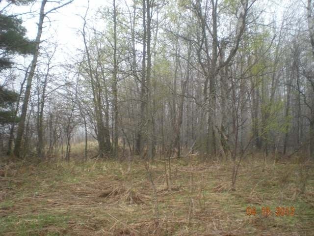 On Popple Road Antigo, WI 54409 - Photo 15 of 18 Gallery Image 15