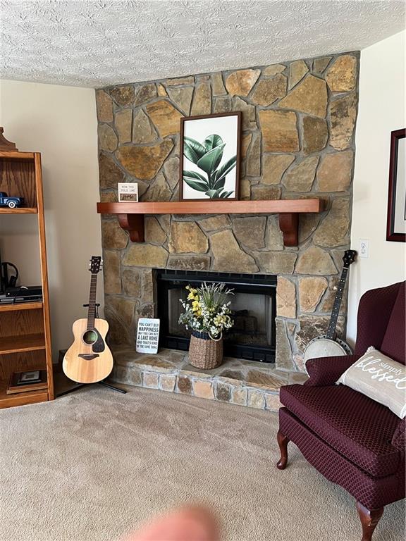 2741 Old Dawsonville Road Gainesville, GA 30506 - Photo 12 of 18 a living room with furniture and a fireplace