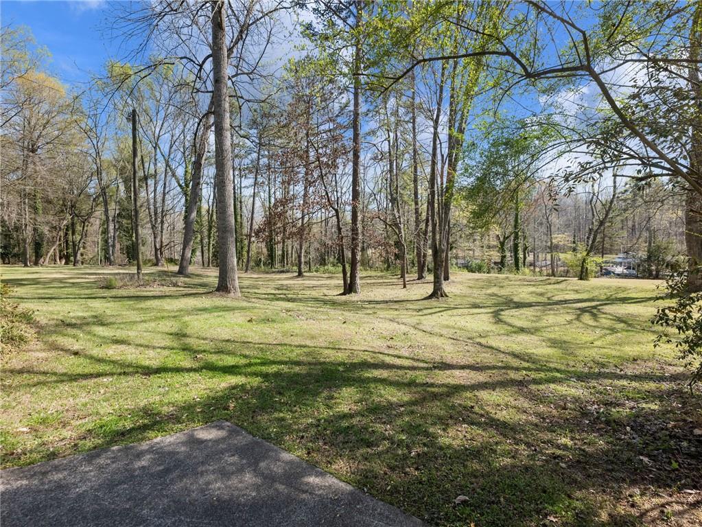 2741 Old Dawsonville Road Gainesville, GA 30506 - Photo 14 of 18 a garden view with tall trees