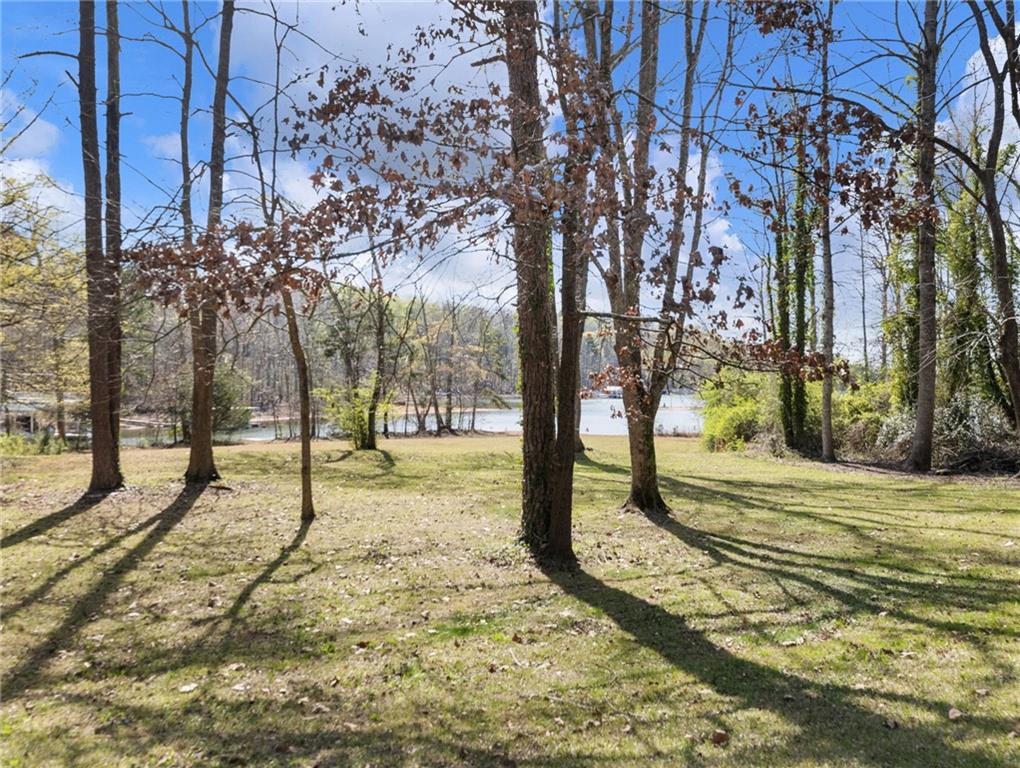 2741 Old Dawsonville Road Gainesville, GA 30506 - Photo 6 of 18 a view of a yard with trees