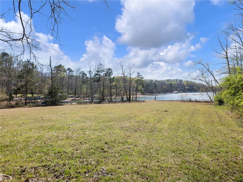 2741 Old Dawsonville Road Gainesville, GA 30506 - Photo 9 of 18 a view of yard with swimming pool and trees in the background