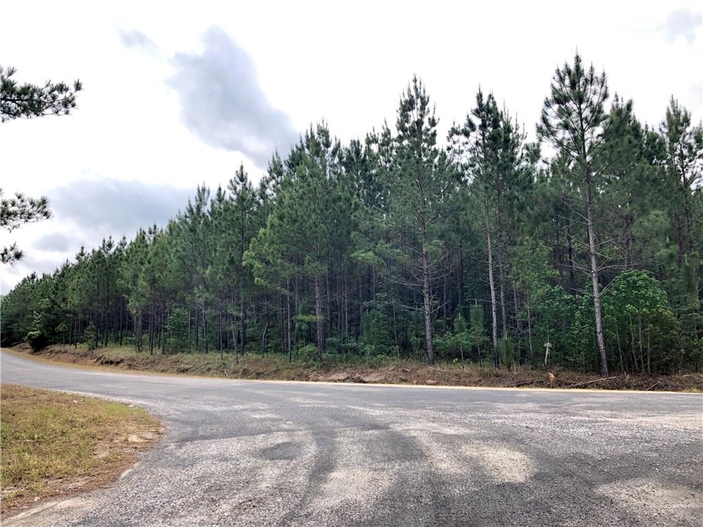North Bearhead Road Singer, LA 70660 - Photo 1 of 2 Gallery Image 1