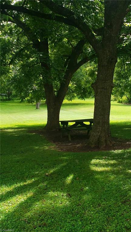 205 Cedar Lodge Road Thomasville, NC 27360 - Photo 10 of 22 Picnic anyone??