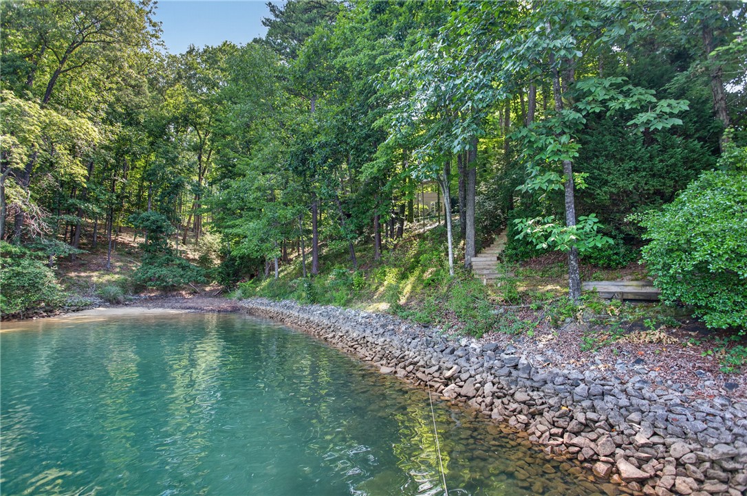 12 Lookout Lane Salem, SC 29676 - Photo 3 of 47 A natural sand beach at the end of the cove