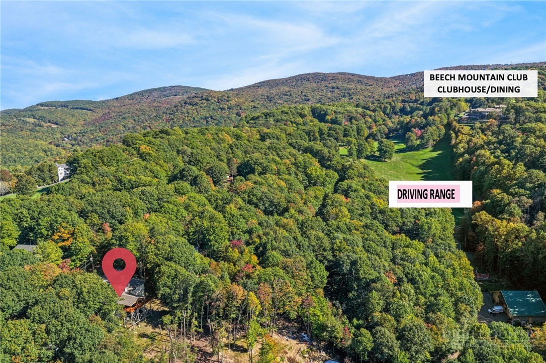 498 St Andrews Road Beech Mountain, NC 28604 - Photo 6 of 43 Gallery Image 6